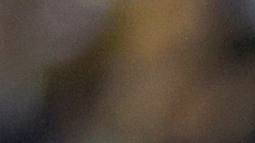 Dallas Cowboys, equipo clasificado a los playoffs.