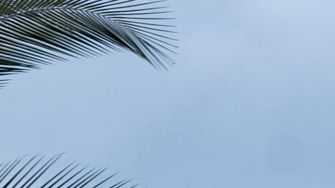 Esta ola de violencia ha llevado a Ecuador a ser catalogado como uno de los países más violentos del mundo.