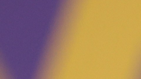 “Brasil tiene que aprender a jugar sin Neymar”: Dorival Júnior en su presentación con la Canarinha