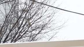 Chicago detiene temporalmente el desalojo de migrantes de los refugios ante la tormenta de nieve