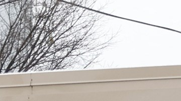 Chicago detiene temporalmente el desalojo de migrantes de los refugios ante la tormenta de nieve