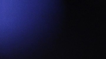 LeBron James celebró la anotación del aficionado de Lakers, Fidel Olmos.