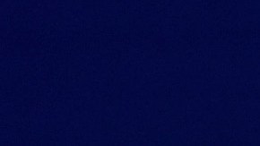 "Siempre seré un Patriot": Bill Belichick abandona los New England Patriots después de 24 años