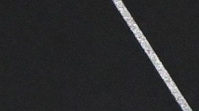 Miembros del elenco de la serie "Succesion"