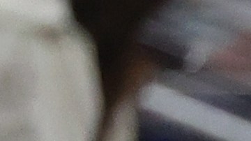 Dontayvion Wicks y Bo Melton celebran una de las anotaciones de Green Bay Packers ante Dallas Cowboys.