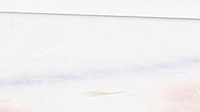 Dos violentas peleas en menos de 10 segundos se dieron entre Coyotes y Panthers en la NFL [Video]