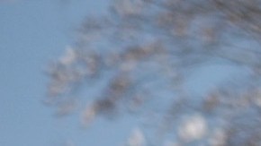 El Servicio Meteorológico de Estados Unidos ha advertido que la piel expuesta a este frío se puede congelar en solo diez minutos.