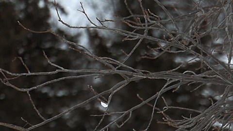 Tormenta de nieve
