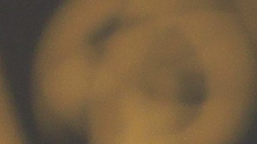 Selena Gómez posando en una alfombra roja.