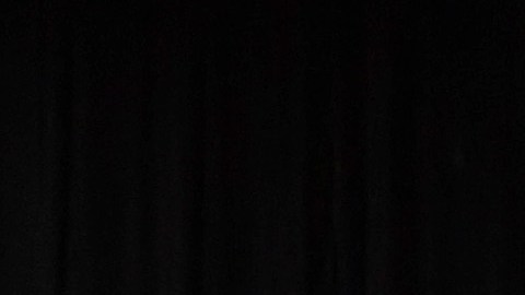 Poco antes de las proyecciones de los grandes medios, Trump compareció en un caucus en Iowa.
