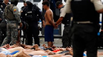 Ecuador reporta disminución de muertes violentas diarias tras acciones recientes de Daniel Noboa