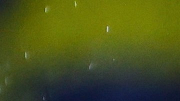 El entrenador brasileño confía en el desempeño de las Águilas para este torneo Clausura 2024.