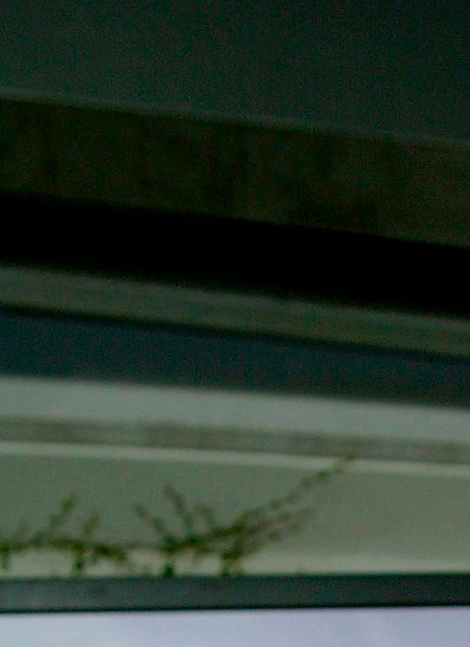 Lindsay Lohan posando en una alfombra roja.