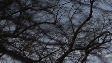 Bomberos recibieron una falsa alarma de incendio en la Casa Blanca durante ausencia de Joe Biden