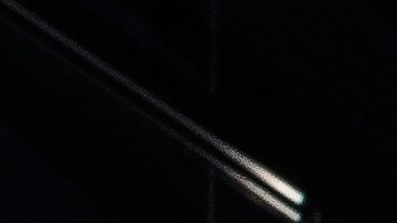 Esqueleto de un dodo, especie extinta que llama la atención de la biología de la resurrección.