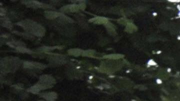 Horror en la estación de Akihabara, Japón.