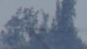 Cuba está experimentando actualmente una ola de migración sin precedentes