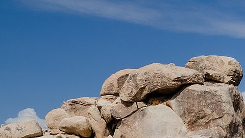 Joshua Tree National Park