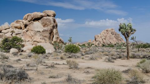 Joshua Tree National Park