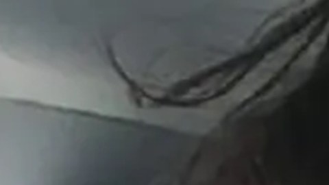 Detuvieron en Reino Unido a mujer que asesinó a sus hijos de 7 y 9 años porque podía perder la custodia