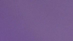 Lili Estefan, presentadora de televisión.