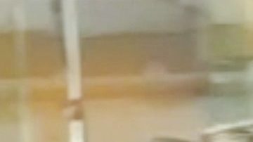 Lisa Marie Presley murió el 12 de enero de 2023.