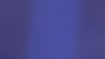 Madison Anderson, modelo puertorriqueña.