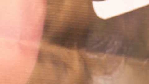 Maripily Rivera, actriz puertorriqueña.