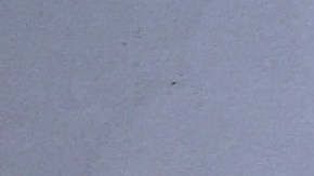 Markietta-Robertson-loteria-maryland-placas-automovil