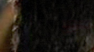 Michelle Renaud y Matías Novoa confirmaron este 28 de enero que esperan un hijo.