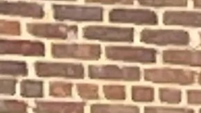 La demanda de Rostom argumenta que la gerencia y los empleados de NYCHA no han tomado "las medidas necesarias y requeridas para prevenir este suceso.