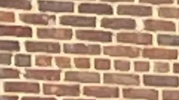 La demanda de Rostom argumenta que la gerencia y los empleados de NYCHA no han tomado "las medidas necesarias y requeridas para prevenir este suceso.