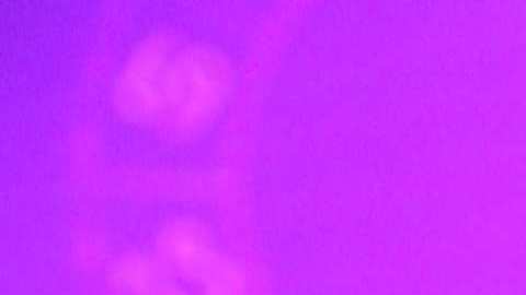 El Niño Prodigio, astrólogo.