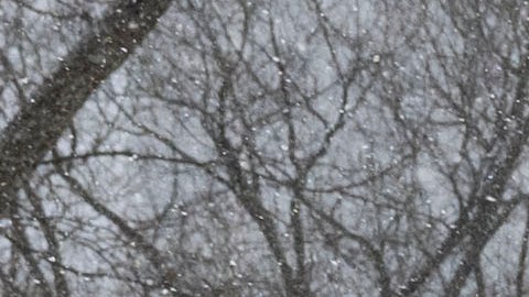 Nieve Nueva York