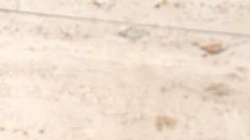 Osmel Sousa, experto en misses.