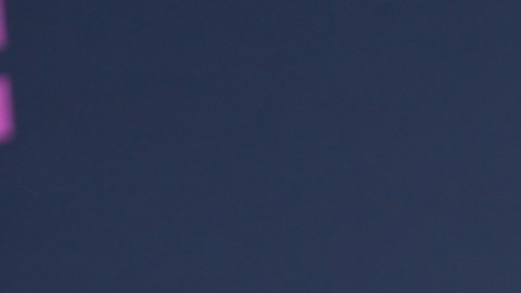 Raúl de Molina, presentador de televisión.