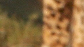 Raúl de Molina, presentador de televisión.