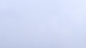 Sheynnis Palacios, Miss Universo 2023.