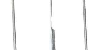 Sheynnis Palacios, Miss Universo 2023.