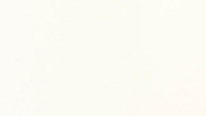 Tekashi 6ix9ine, rapero estadounidense.