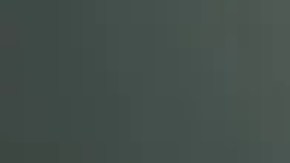 El Departamento de Policía de Orlando confirmó la relación de la minivan con el caso de la persona desaparecida de Lemire.