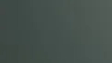 El Departamento de Policía de Orlando confirmó la relación de la minivan con el caso de la persona desaparecida de Lemire.