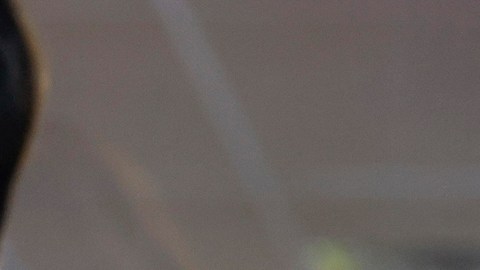 Greg Abbott: sus incendiarias palabras sobre "disparar" a migrantes que crucen la frontera