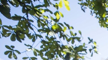 Estados Unidos revisa las sanciones a Venezuela tras bloquear la candidatura de María Corina Machado