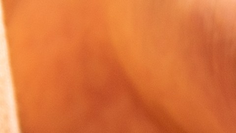 cheque-de-estimulo-5050-dolares-michigan