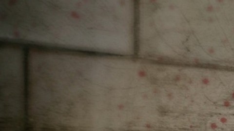 En 2022 se reportaron un total de 13,346 crímenes de odio que han ocurrido en Estados Unidos.