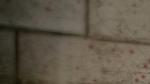 En 2022 se reportaron un total de 13,346 crímenes de odio que han ocurrido en Estados Unidos.