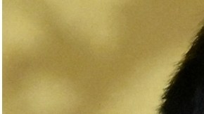 Presidente Daniel Noboa negó que se inspire en la política de Nayib Bukele contra crimen organizado