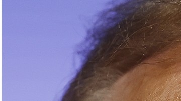 Nikki Haley aseguró que indultaría a Donald Trump si la eligen presidenta de EE.UU. y explicó la razón