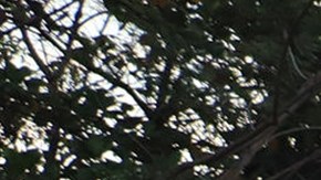 Joe Biden aseguró que cerrará frontera con México inmediatamente si el Congreso de EE.UU. lo autoriza